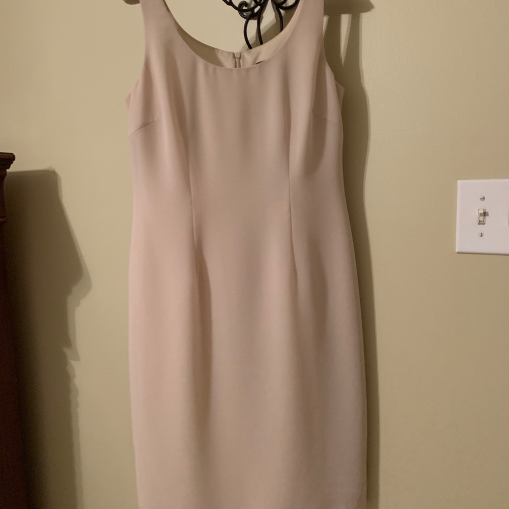 Lined Dressy Dress